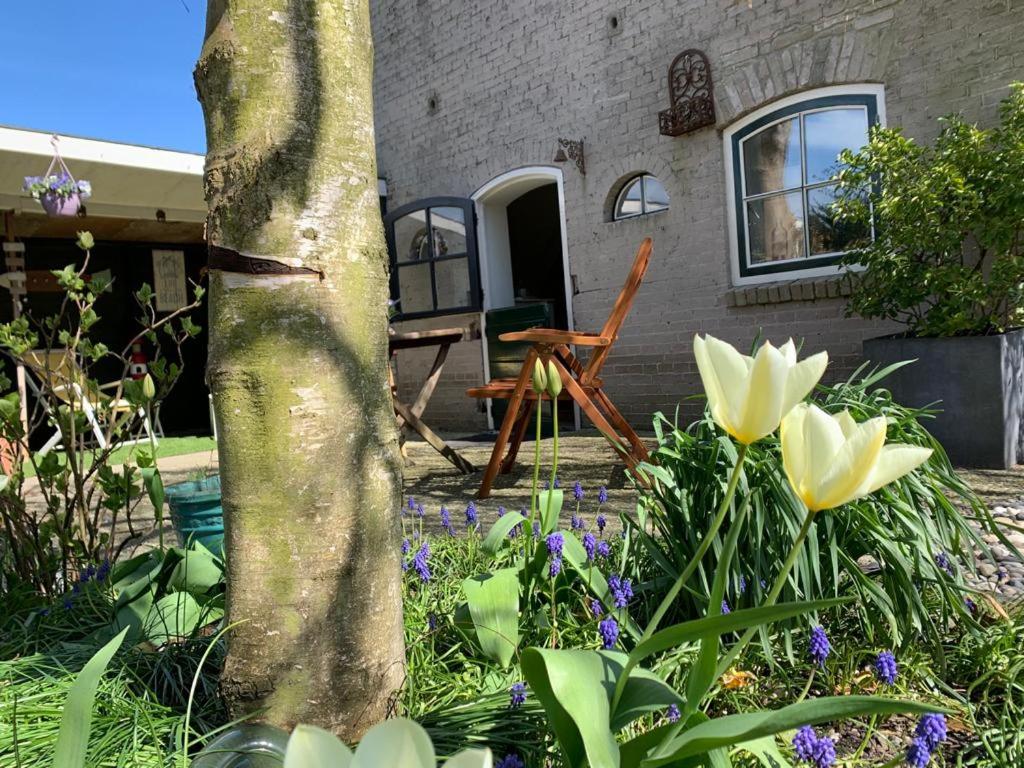 B&B De Vlasboerderij room 2